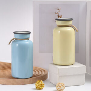 Vacuum Insulated Water Bottle